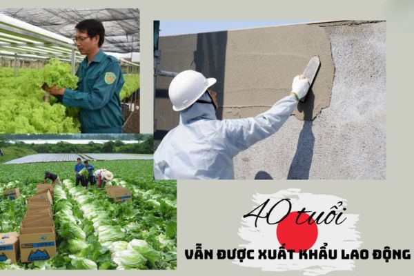 Quốc gia lao động tuổi 40 có thể làm việc
