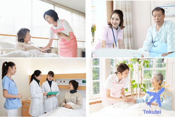 Cập nhật chương trình Tokutei điều dưỡng