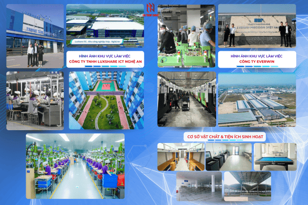 Cung ứng việc làm trong nước cho người lao động