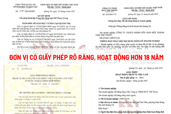 The Thony Group - Công ty XKLĐ Quảng Trị đáng tin cậy